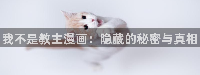 耽美漫画全部免费观看