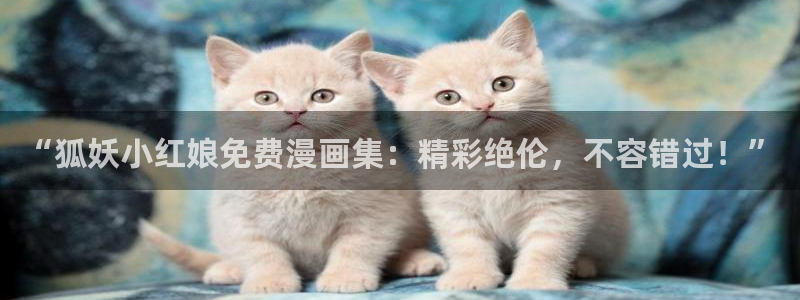 耽美漫画网站免费